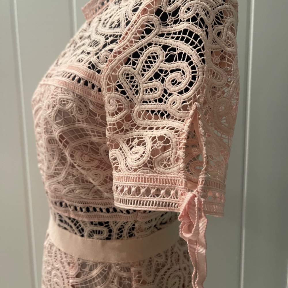 Self-Portrait Pink Lace Dress - Picture 7 of 9